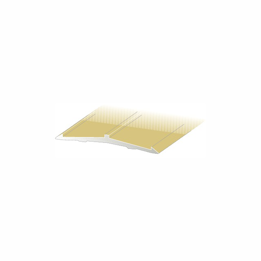 SKARVLIST NR60 46MM CHAMPAGNE 200CM | Beijerbygg Byggmaterial
